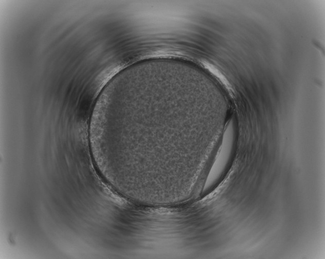 X0000096681329200803041233