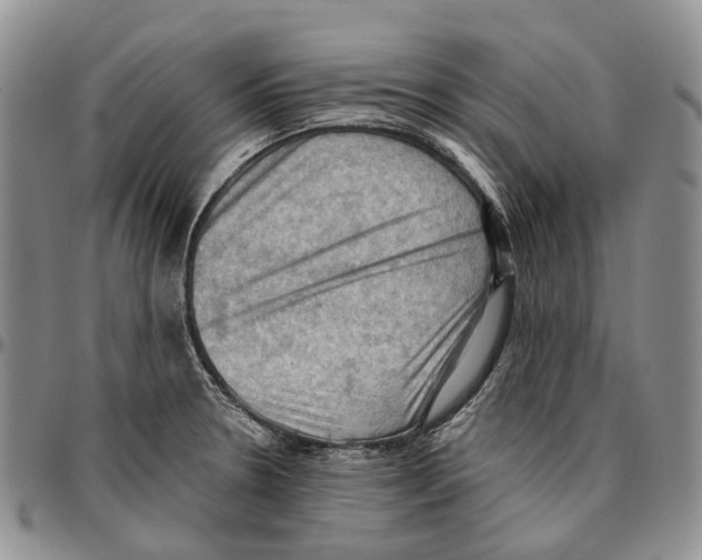 X0000096681330200803041233