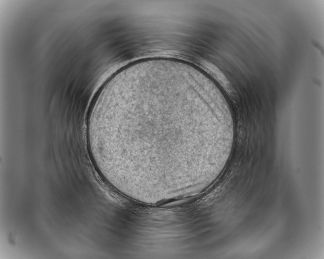 X0000096681332200803041233