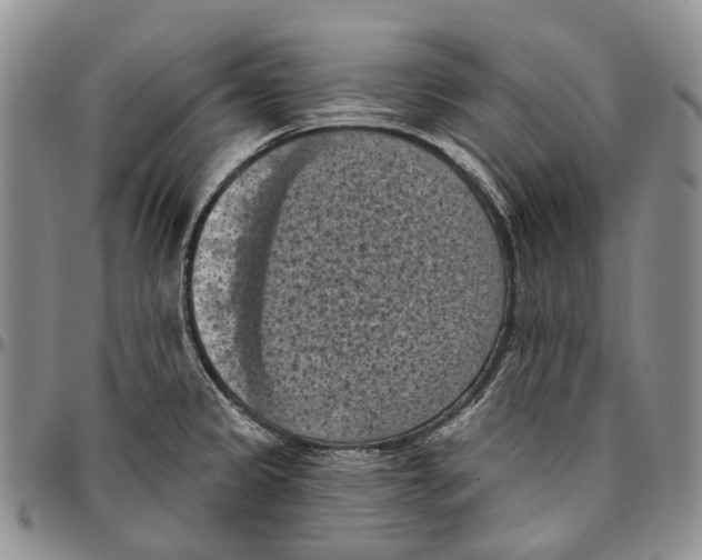 X0000096681333200803041233