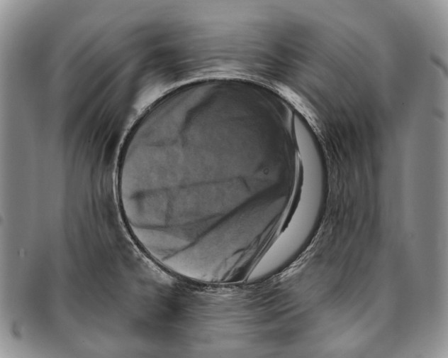 X0000096681334200803041233