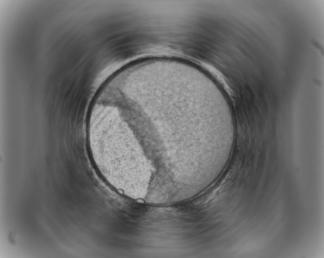 X0000096681335200803041233