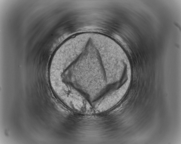 X0000096681336200803041233