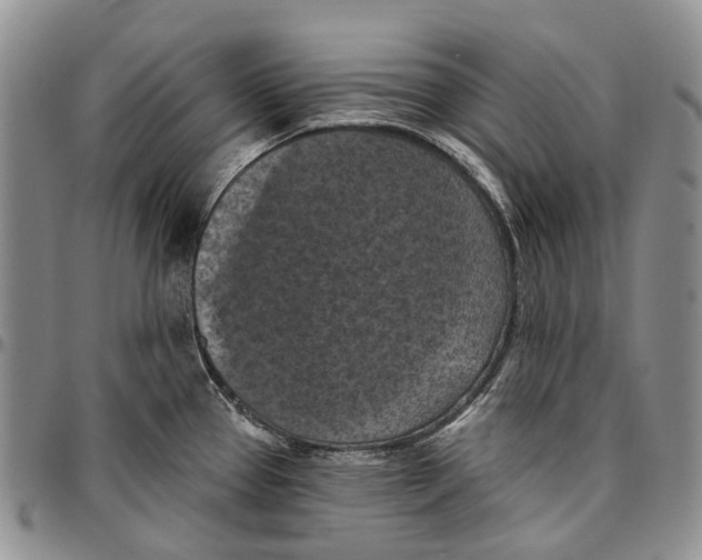 X0000096681337200803041233