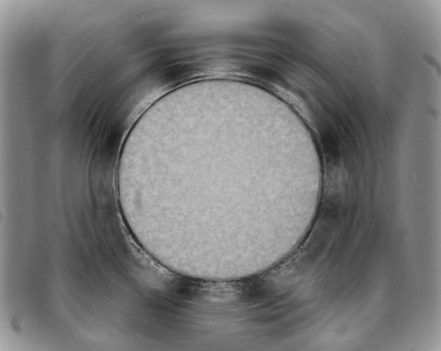 X0000096681338200803041233