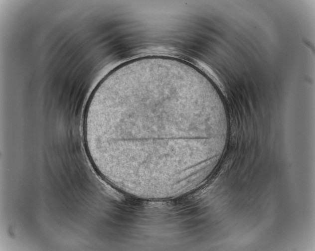 X0000096681339200803041233