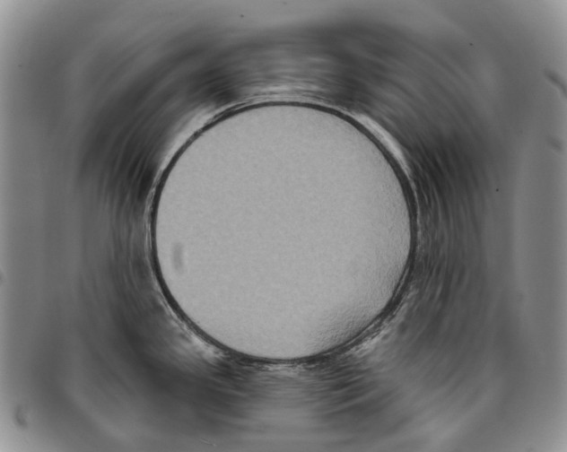 X0000096681341200803041233