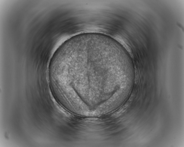 X0000096681342200803041233