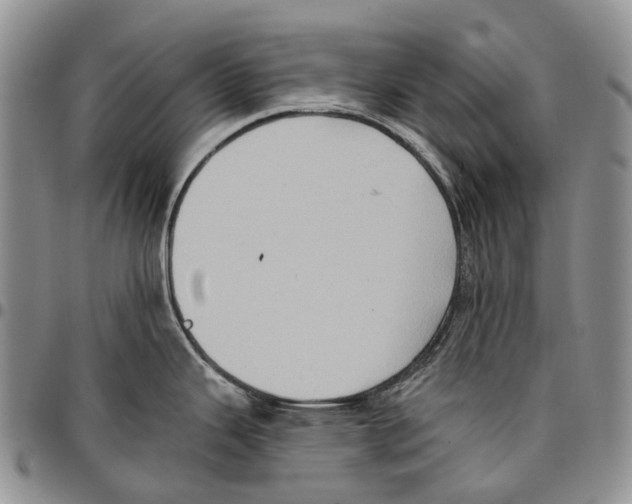 X0000096681343200803041233