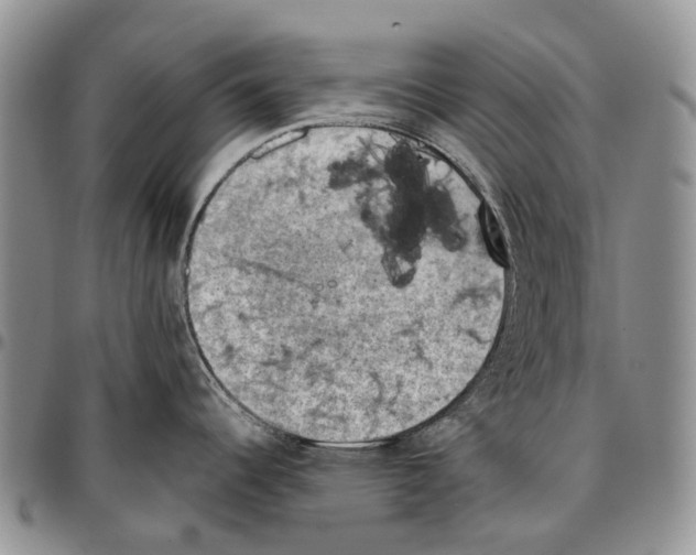 X0000096681344200803041233