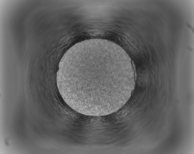 X0000096681345200803041232