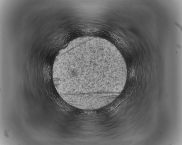 X0000096681346200803041232