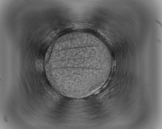 X0000096681348200803041232