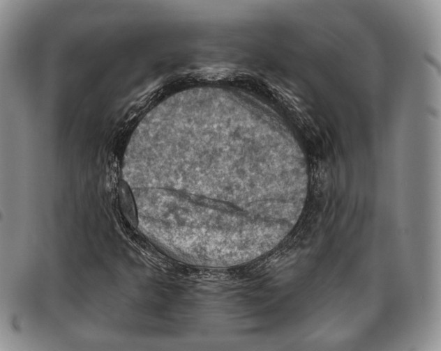 X0000096681349200803041232
