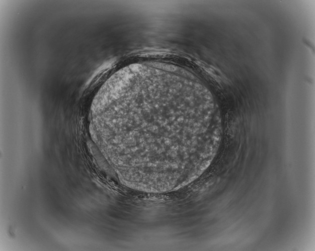 X0000096681351200803041232