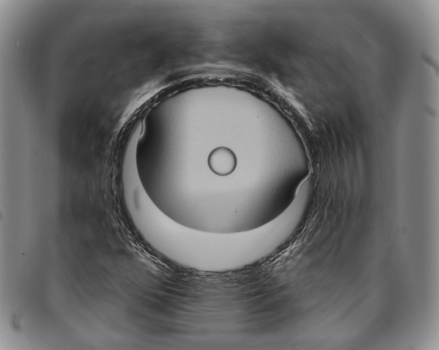X0000096681352200803041232