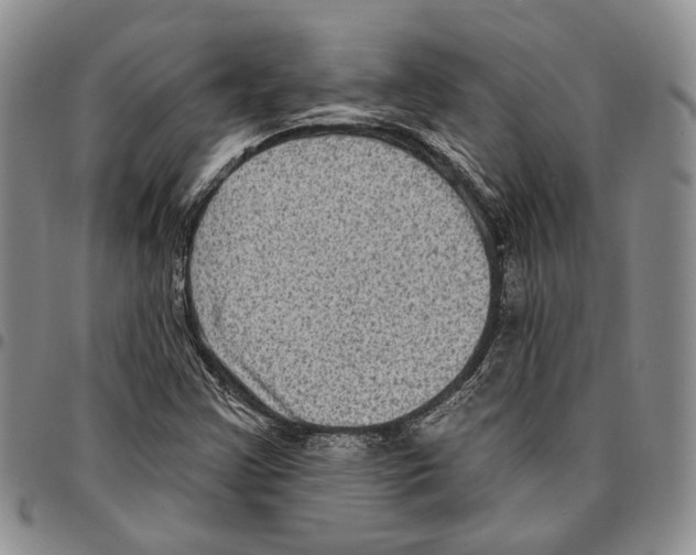 X0000096681355200803041232