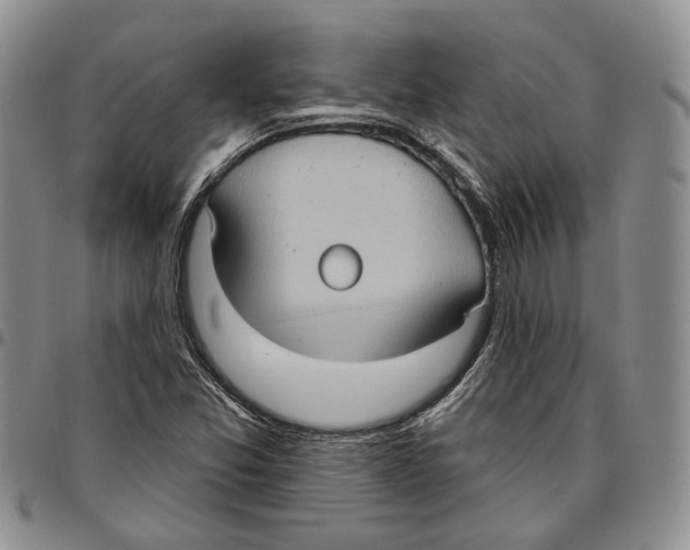 X0000096681357200803041232
