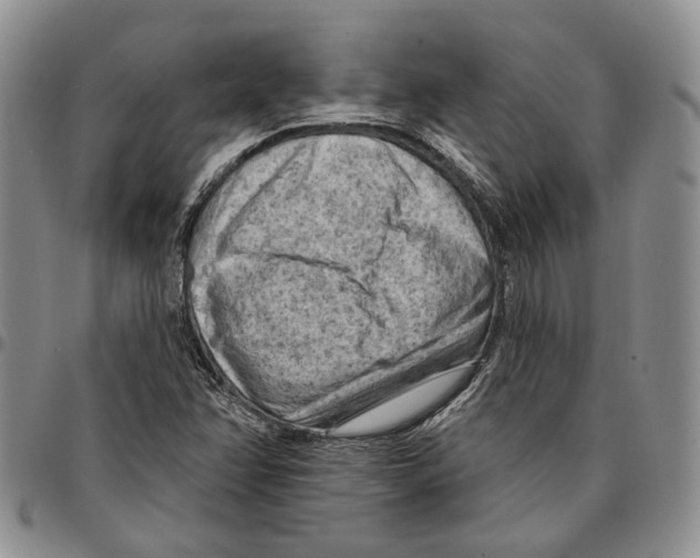 X0000096681358200803041232