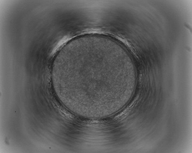 X0000096681359200803041232
