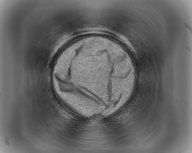 X0000096681360200803041232