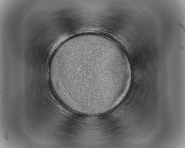 X0000096681363200803041232