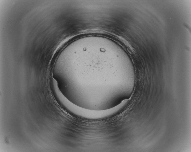 X0000096681364200803041232