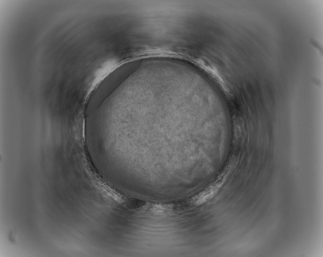 X0000096681365200803041232