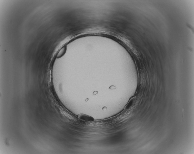X0000096681366200803041232