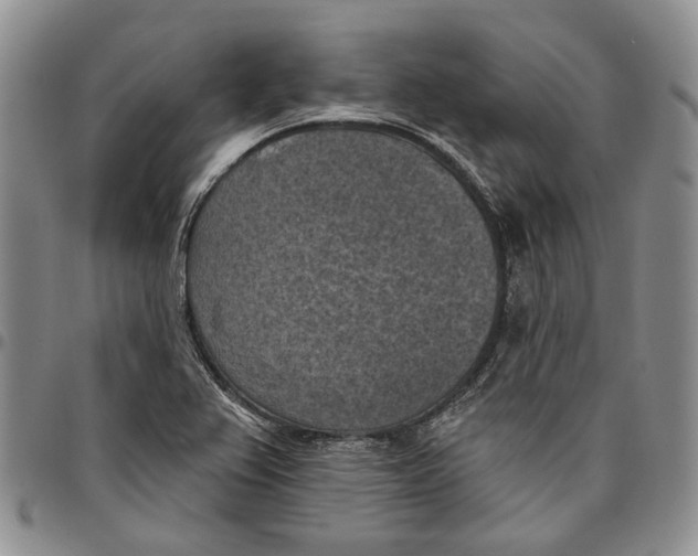 X0000096681367200803041232