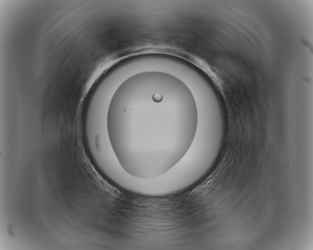 X0000096681368200803041232