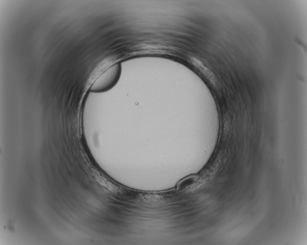 X0000096681370200803041232