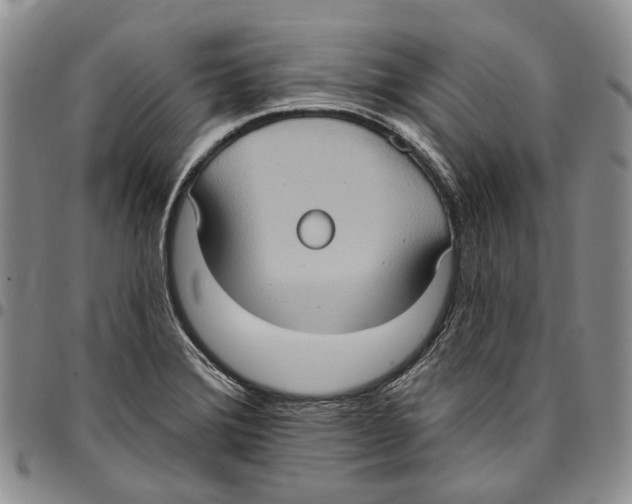 X0000096681372200803041232