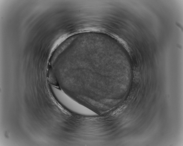 X0000096681373200803041232