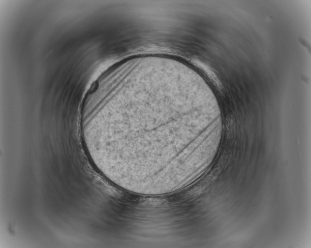 X0000096681374200803041232