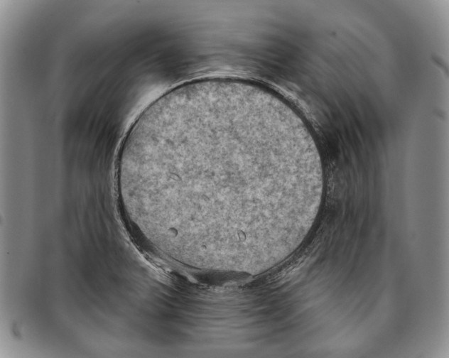 X0000096681375200803041232