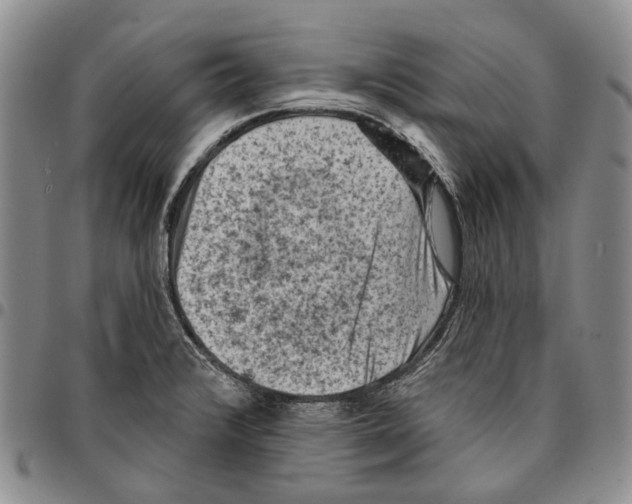 X0000096681376200803041232