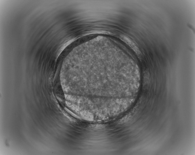 X0000096681377200803041232