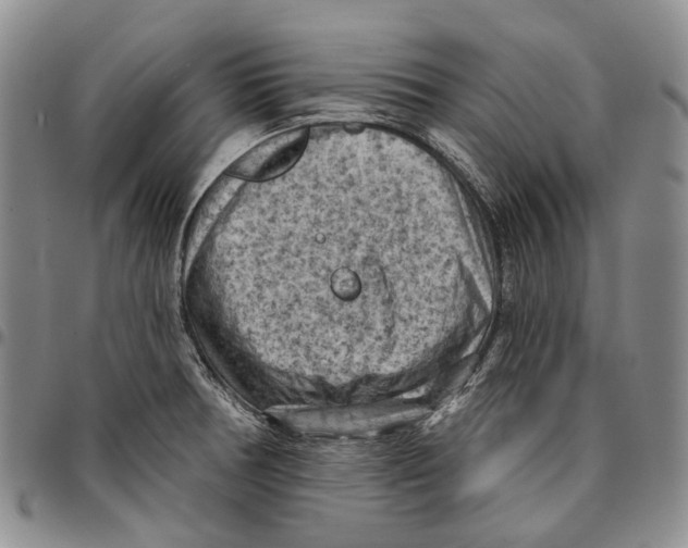 X0000096681378200803041232