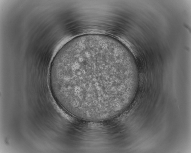 X0000096681379200803041232
