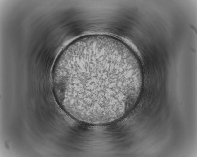 X0000096681380200803041232