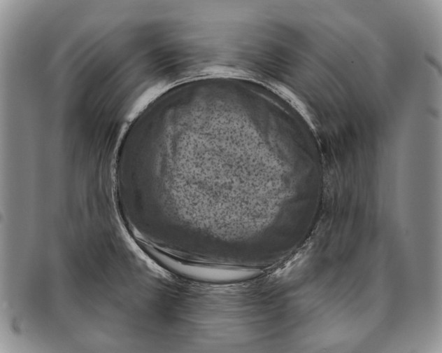 X0000096681381200803041232