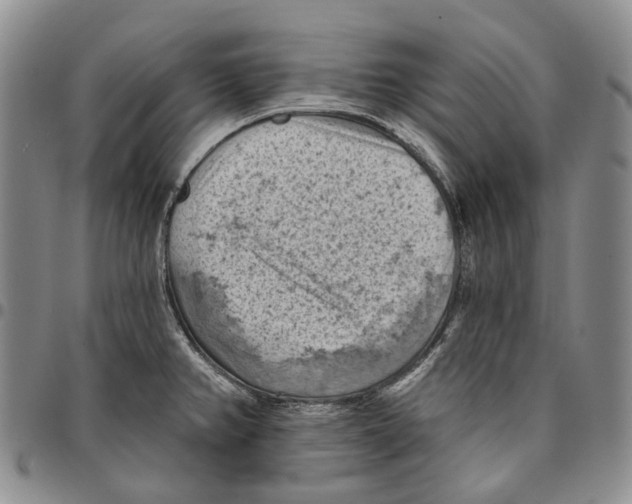 X0000096681382200803041232