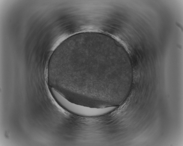 X0000096681383200803041232