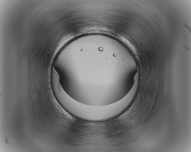X0000096681384200803041232