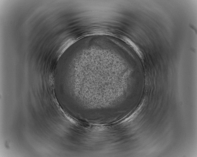 X0000096681385200803041232