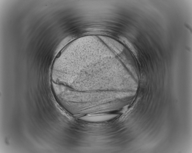 X0000096681386200803041232