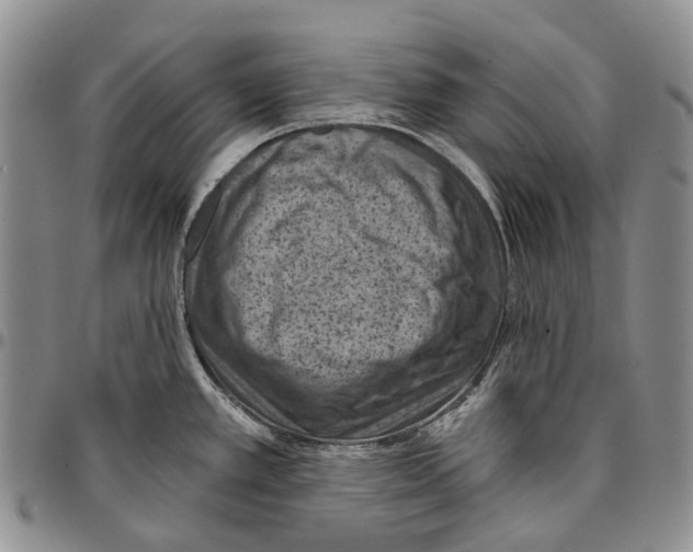 X0000096681389200803041232