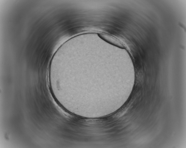 X0000096681391200803041232