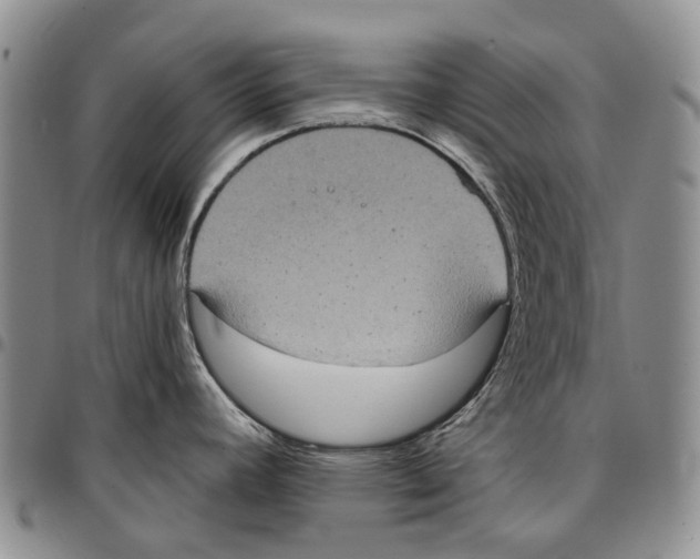 X0000096681392200803041232
